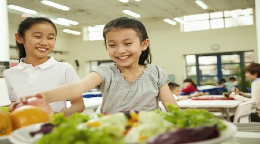 Do your kids bring packed food to school?