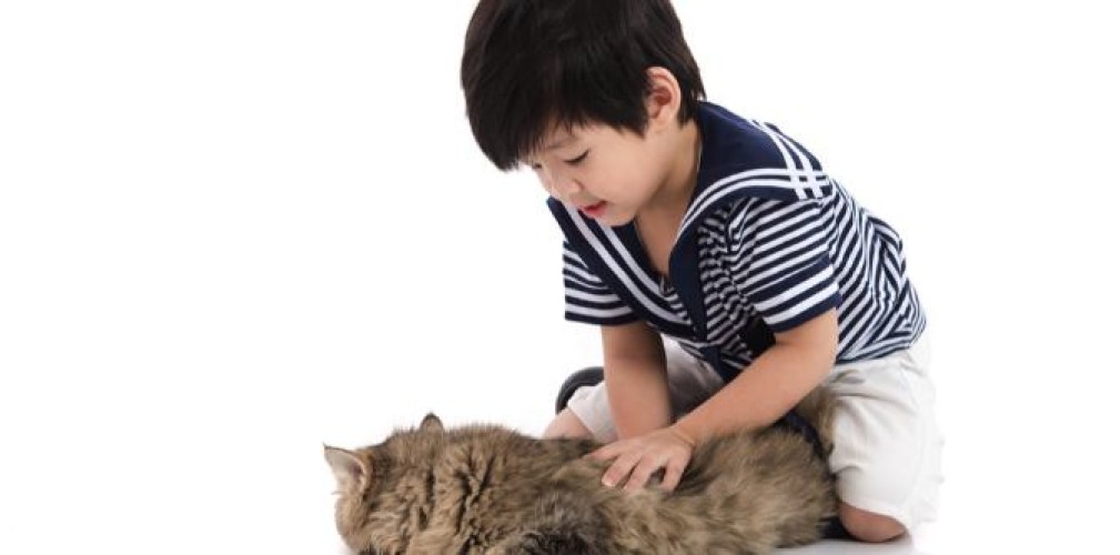 Which would you get as a first pet for your child?